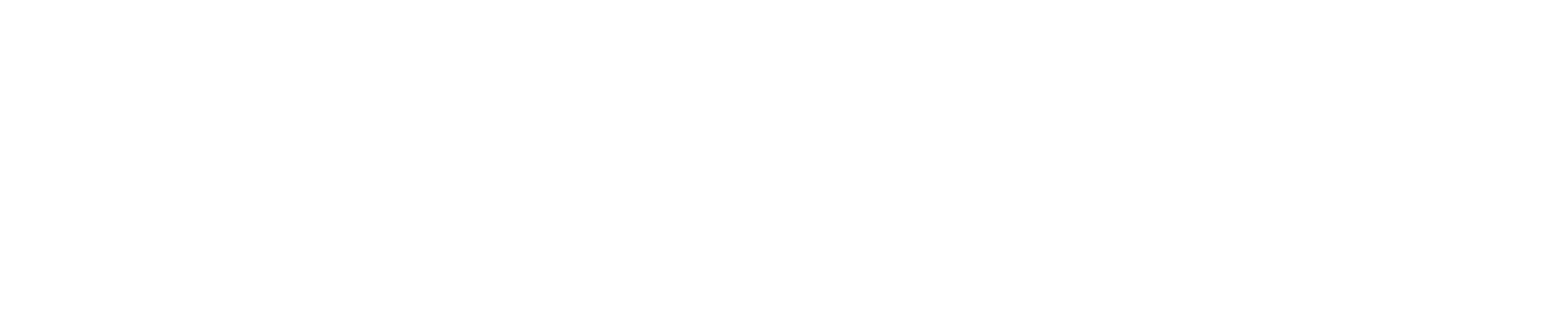 loncino